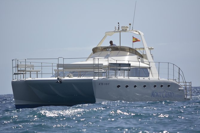 Whale and Dolphin Watching Catamaran with Transfer and Buffet - A comfortable boat with room to spread out
