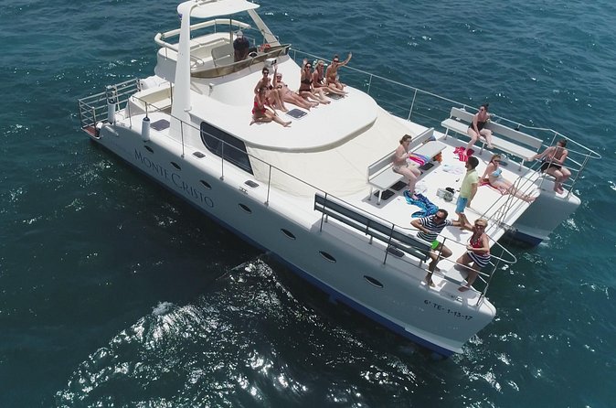 Whale and Dolphin Watching Catamaran with Transfer and Buffet - Searching for whales and dolphins