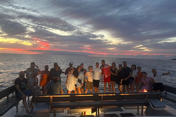 Whale and Dolphin Watching Catamaran with Transfer and Buffet - Is $71.35 good value?
