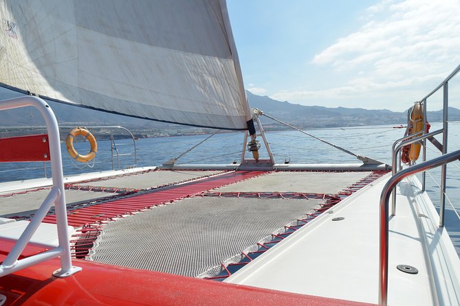 Whale Watching and Listening Eco Catamaran Tour with Food Tasting - Key points to know before booking