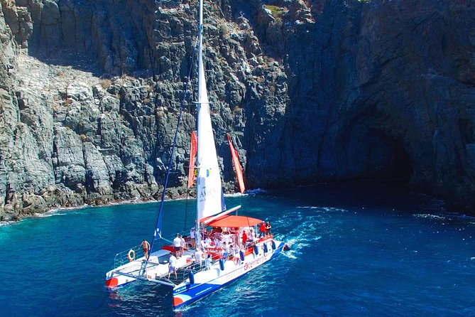 Whale Watching and Listening Eco Catamaran Tour with Food Tasting - Is the $71.35 price fair?