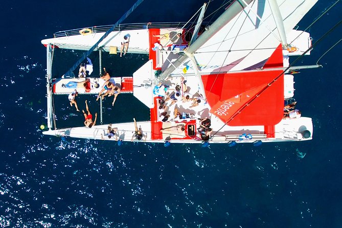 Whale Watching and Listening Eco Catamaran Tour with Food Tasting - Practical details that affect your day