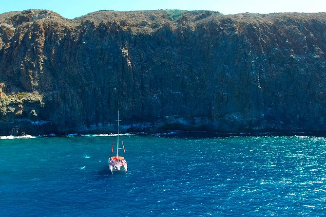 Whale watching and listening Eco-Catamaran Tour with Food Tasting - Who will enjoy this trip most?