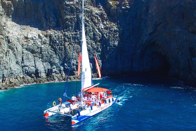 Whale watching and listening Eco-Catamaran Tour with Food Tasting - Final verdict: book it for wildlife and value
