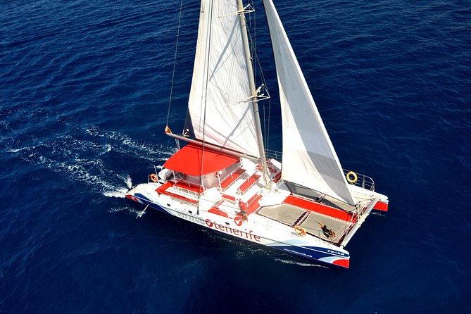 Whale watching and listening Eco-Catamaran Tour with Food Tasting - Searching for whales and dolphins off Tenerife