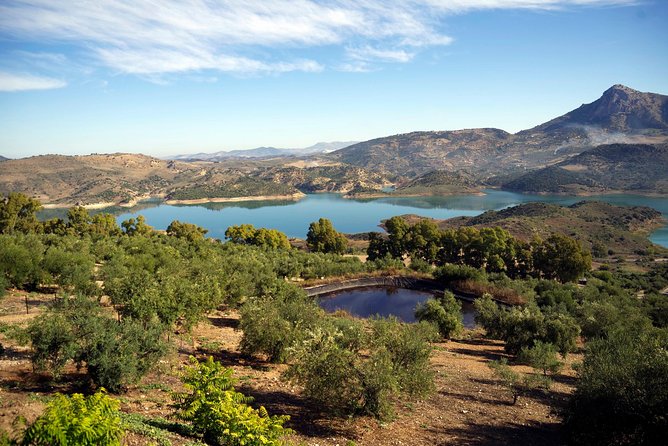 White Villages and Ronda Day Tour from Seville - Why this Seville day trip works