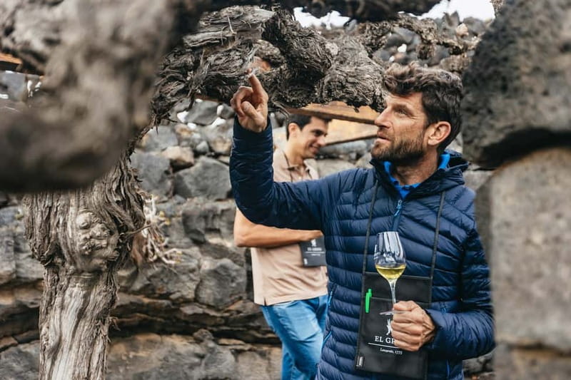 Wine Lovers: Wine Tasting Tour at El Grifo Bodega Lanzarote - Key points at a glance