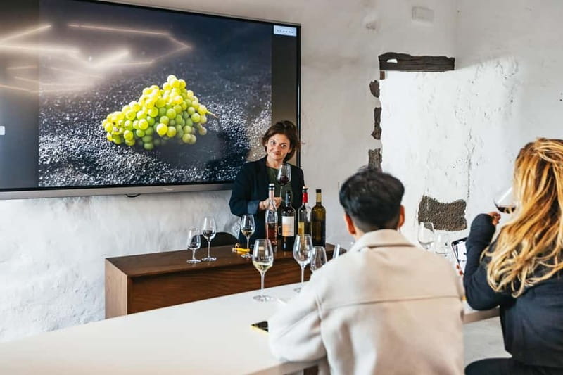 Wine Lovers: Wine Tasting Tour at El Grifo Bodega Lanzarote - Why El Grifo gives Lanzarote wine a different character