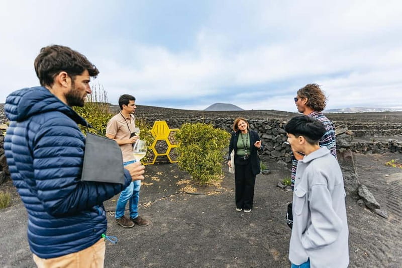 Wine Lovers: Wine Tasting Tour at El Grifo Bodega Lanzarote - Seeing how vines cope with Lanzarote