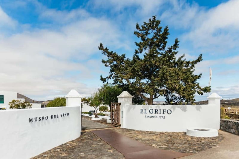 Wine Lovers: Wine Tasting Tour at El Grifo Bodega Lanzarote - How much value do you get for $57?
