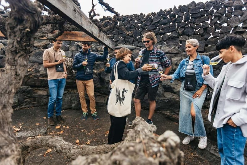 Wine Lovers: Wine Tasting Tour at El Grifo Bodega Lanzarote - Should you book El Grifo’s wine tasting?