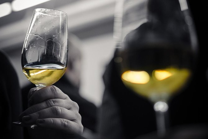 Wine Tasting Experience in Barcelona - Key points to know before booking